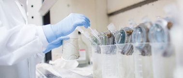 Laboratorio