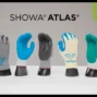 Showa