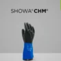 Showa