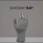 Showa