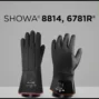 Showa