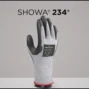 Showa