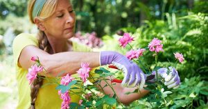 Landscaping