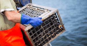 Commercial fishing